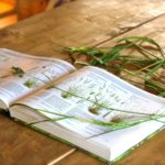 Village Farm Getaway, holidays glamping and luxury camping in East Midlands and Leicestershire