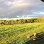 View from veranda at Village Farm Getaway, holidays glamping and luxury camping in East Midlands and Leicestershire